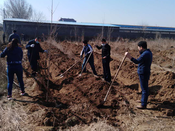 公司组织开展春季义务植树活动